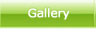 Onlight Gallery